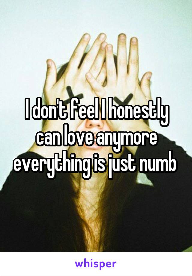 I don't feel I honestly can love anymore everything is just numb 