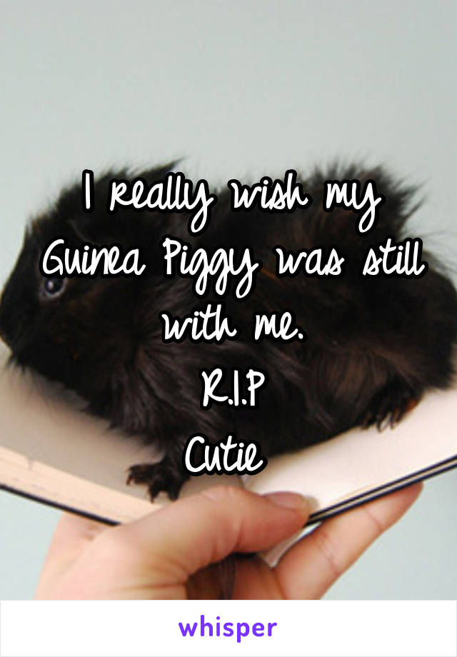 I really wish my Guinea Piggy was still with me.
R.I.P
Cutie 