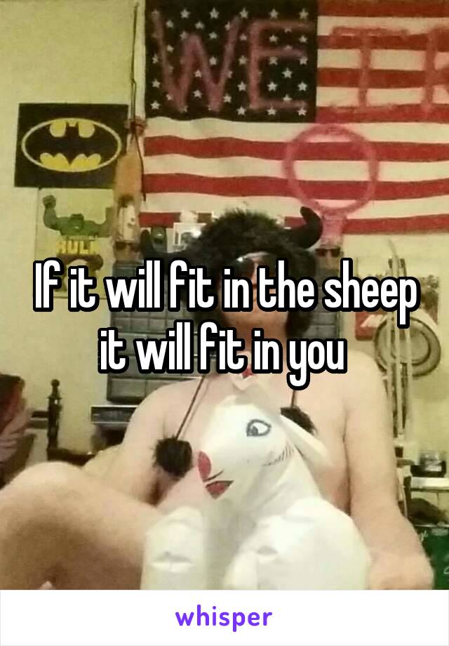 If it will fit in the sheep it will fit in you 