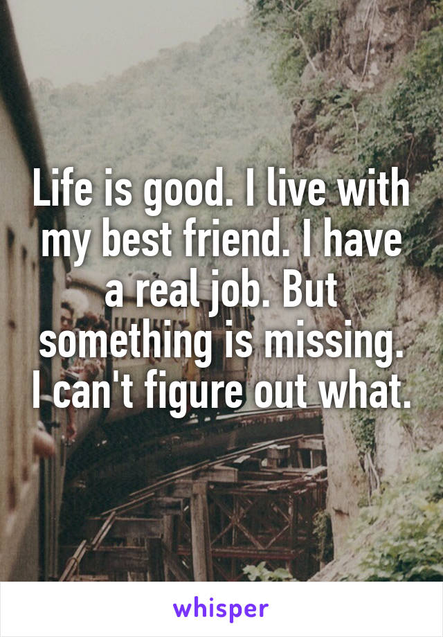 Life is good. I live with my best friend. I have a real job. But something is missing. I can't figure out what. 