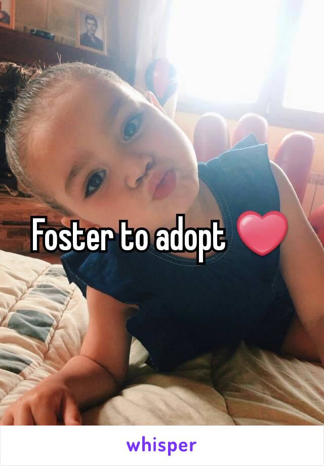 Foster to adopt ❤