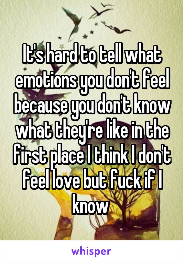 It's hard to tell what emotions you don't feel because you don't know what they're like in the first place I think I don't feel love but fuck if I know 