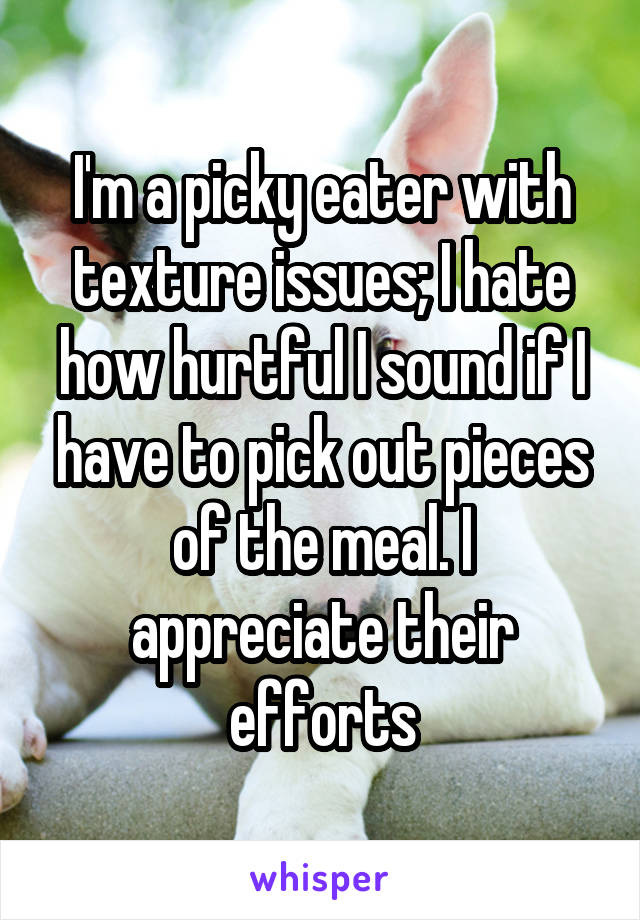 I'm a picky eater with texture issues; I hate how hurtful I sound if I have to pick out pieces of the meal. I appreciate their efforts