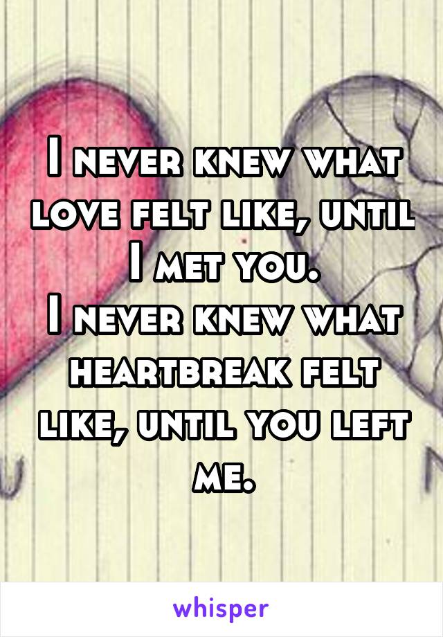 I never knew what love felt like, until I met you.
I never knew what heartbreak felt like, until you left me.