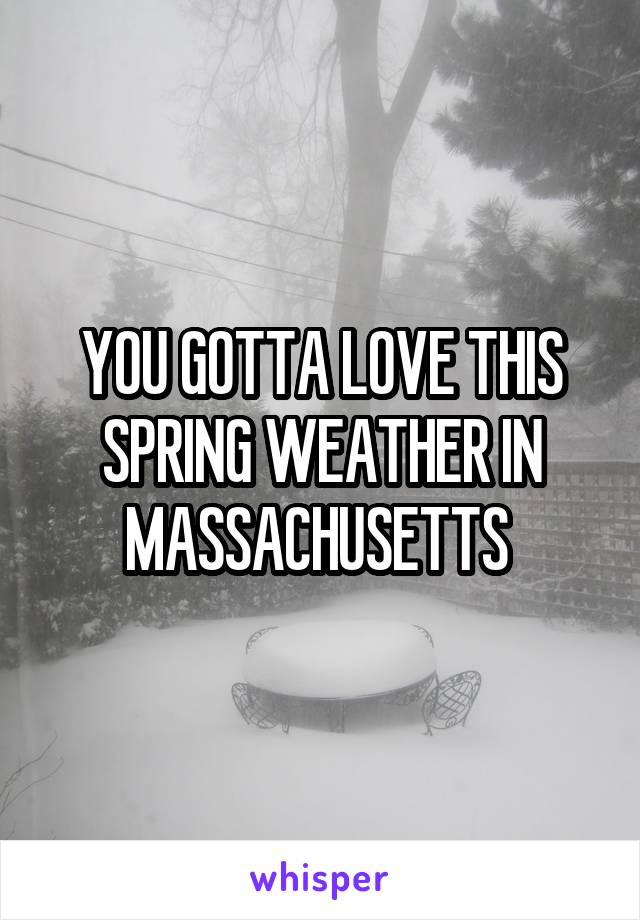 YOU GOTTA LOVE THIS SPRING WEATHER IN MASSACHUSETTS 