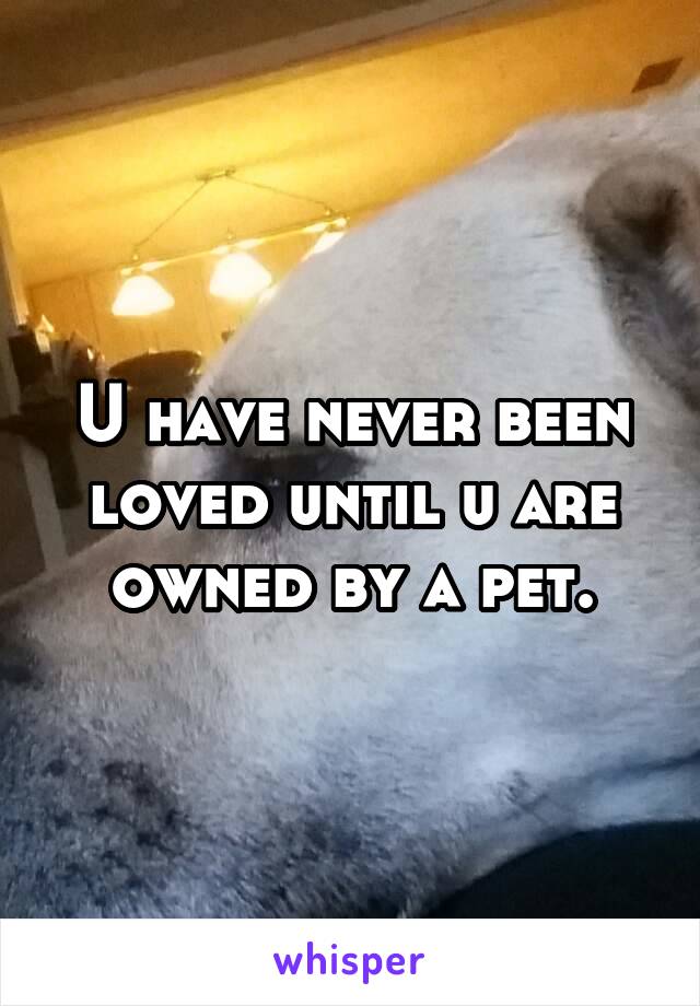 U have never been loved until u are owned by a pet.