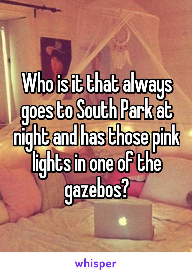 Who is it that always goes to South Park at night and has those pink lights in one of the gazebos?