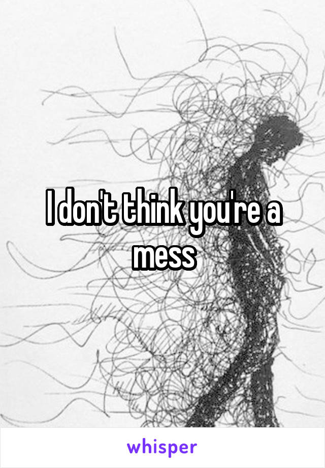 I don't think you're a mess