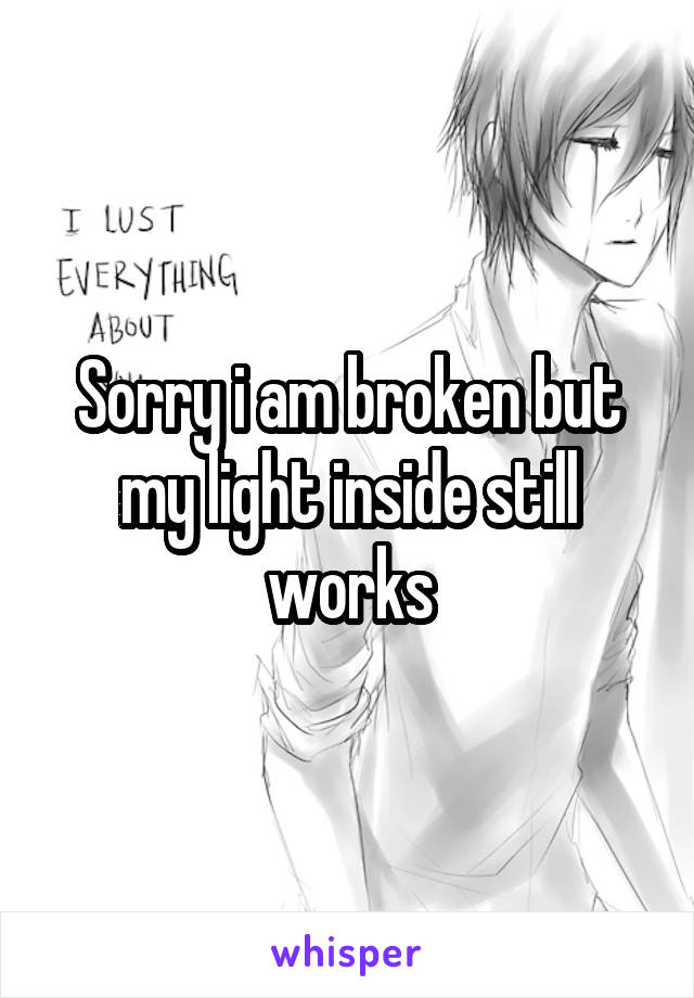 Sorry i am broken but my light inside still works