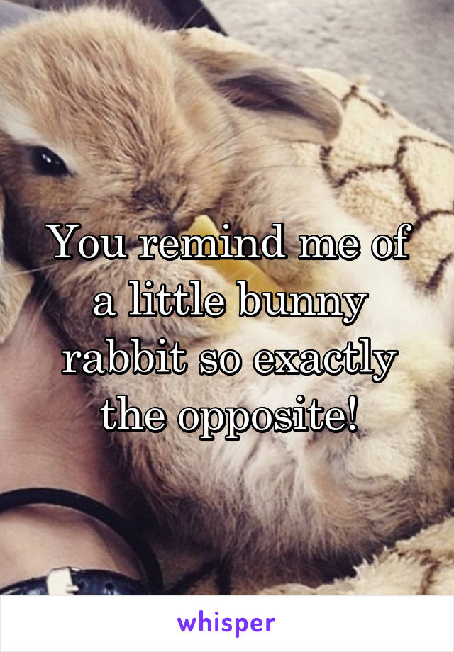 You remind me of a little bunny rabbit so exactly the opposite!