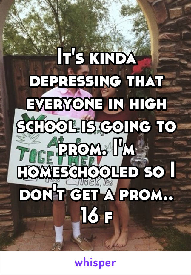 It's kinda depressing that everyone in high school is going to prom. I'm homeschooled so I don't get a prom.. 16 f