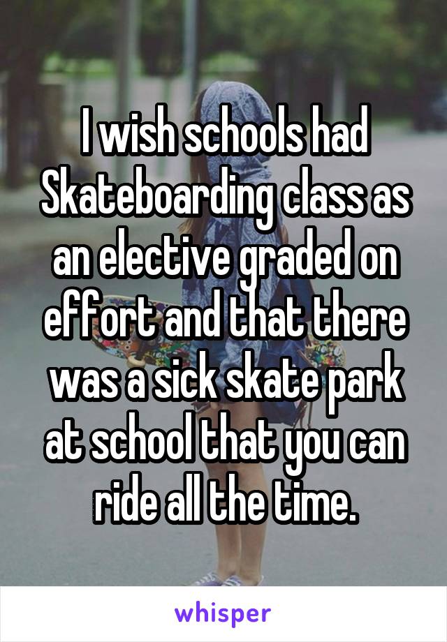 I wish schools had Skateboarding class as an elective graded on effort and that there was a sick skate park at school that you can ride all the time.