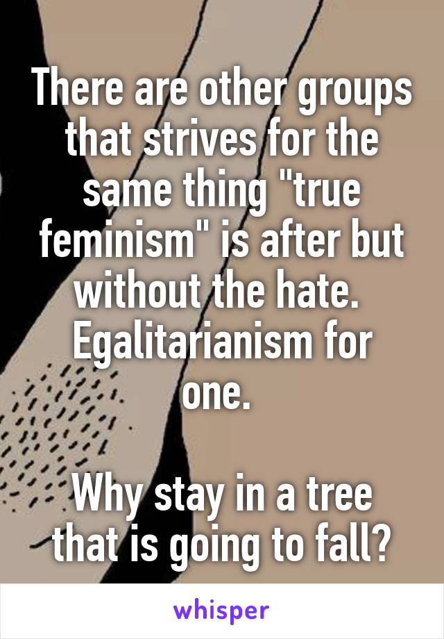 There are other groups that strives for the same thing "true feminism" is after but without the hate. 
Egalitarianism for one. 

Why stay in a tree that is going to fall?