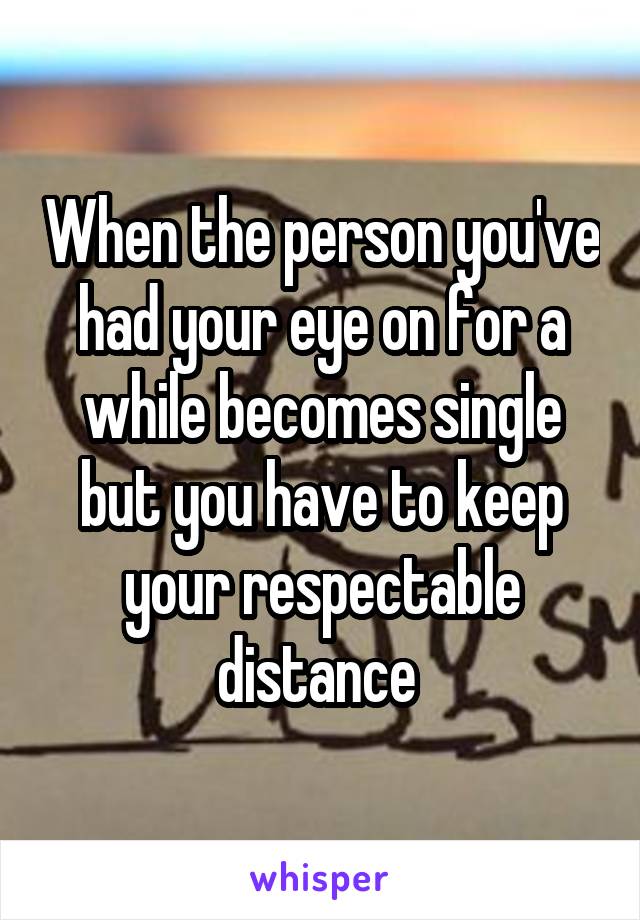 When the person you've had your eye on for a while becomes single but you have to keep your respectable distance 