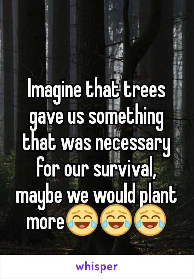 Imagine that trees gave us something that was necessary for our survival, maybe we would plant more😂😂😂