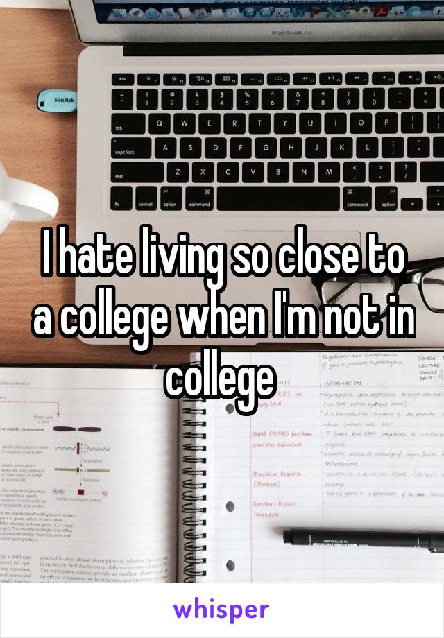 I hate living so close to a college when I'm not in college 