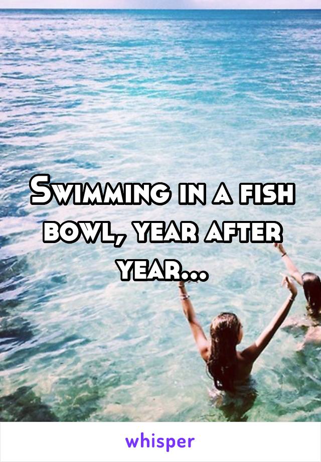 Swimming in a fish bowl, year after year...