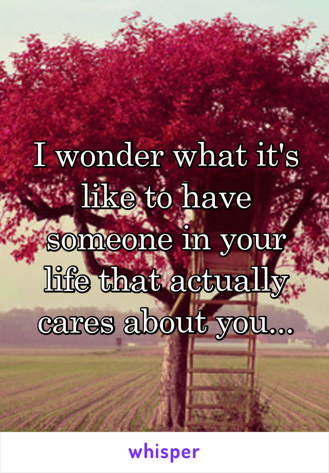 I wonder what it's like to have someone in your life that actually cares about you...