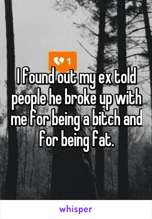 I found out my ex told people he broke up with me for being a bitch and for being fat.