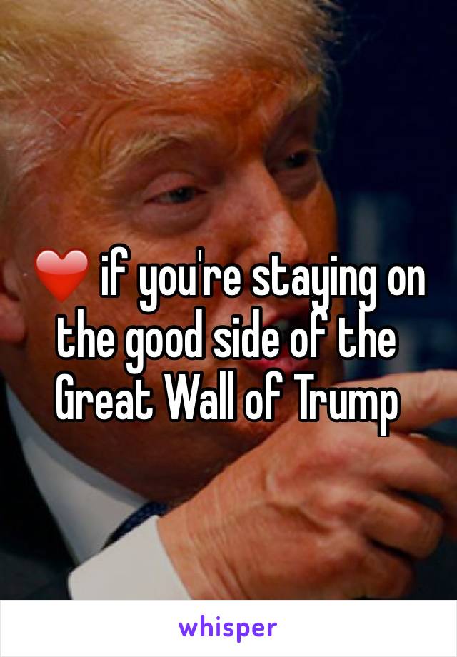 ❤️ if you're staying on the good side of the Great Wall of Trump