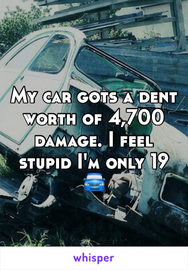 My car gots a dent worth of 4,700 damage. I feel stupid I'm only 19 🚘