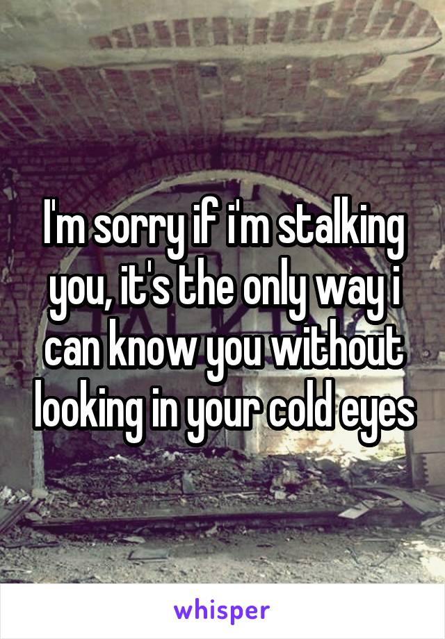 I'm sorry if i'm stalking you, it's the only way i can know you without looking in your cold eyes