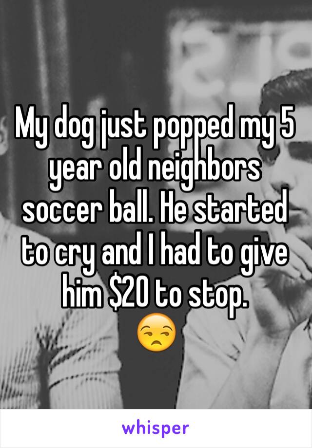 My dog just popped my 5 year old neighbors soccer ball. He started to cry and I had to give him $20 to stop. 
😒