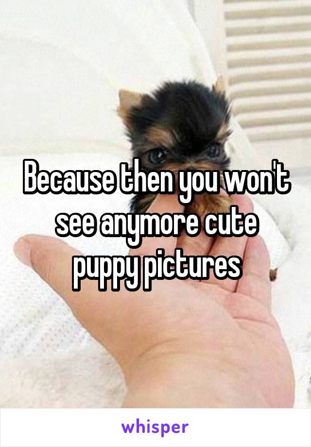 Because then you won't see anymore cute puppy pictures