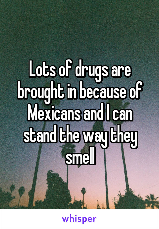 Lots of drugs are brought in because of Mexicans and I can stand the way they smell