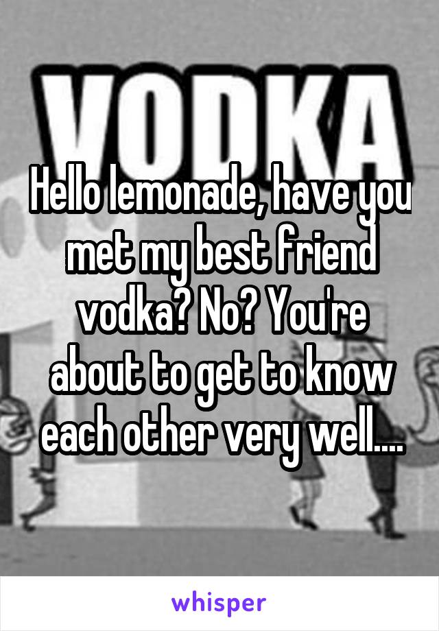 Hello lemonade, have you met my best friend vodka? No? You're about to get to know each other very well....