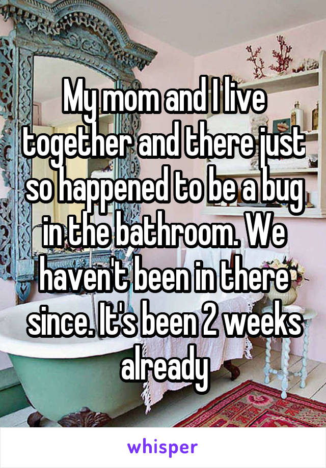 My mom and I live together and there just so happened to be a bug in the bathroom. We haven't been in there since. It's been 2 weeks already