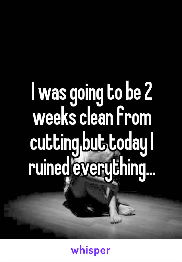 I was going to be 2 weeks clean from cutting but today I ruined everything...