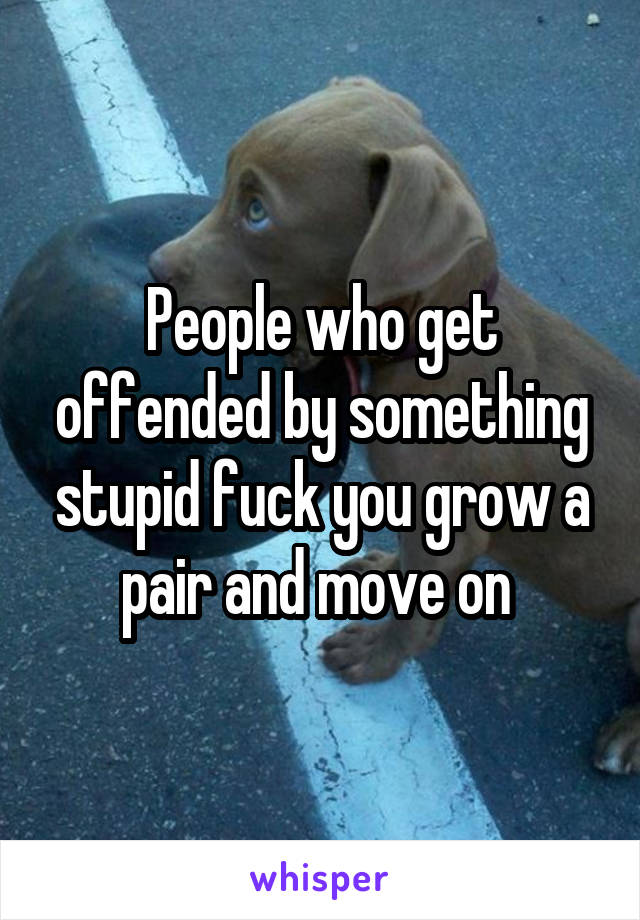 People who get offended by something stupid fuck you grow a pair and move on 