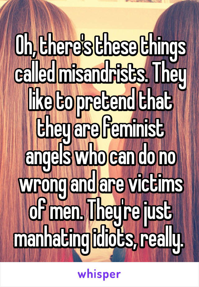 Oh, there's these things called misandrists. They like to pretend that they are feminist angels who can do no wrong and are victims of men. They're just manhating idiots, really. 