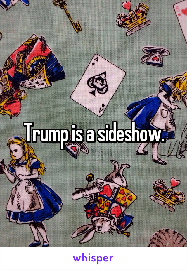 Trump is a sideshow.