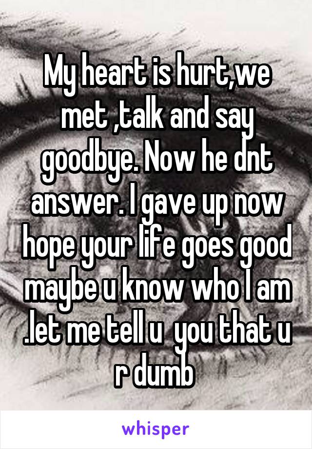 My heart is hurt,we met ,talk and say goodbye. Now he dnt answer. I gave up now hope your life goes good maybe u know who I am .let me tell u  you that u r dumb 