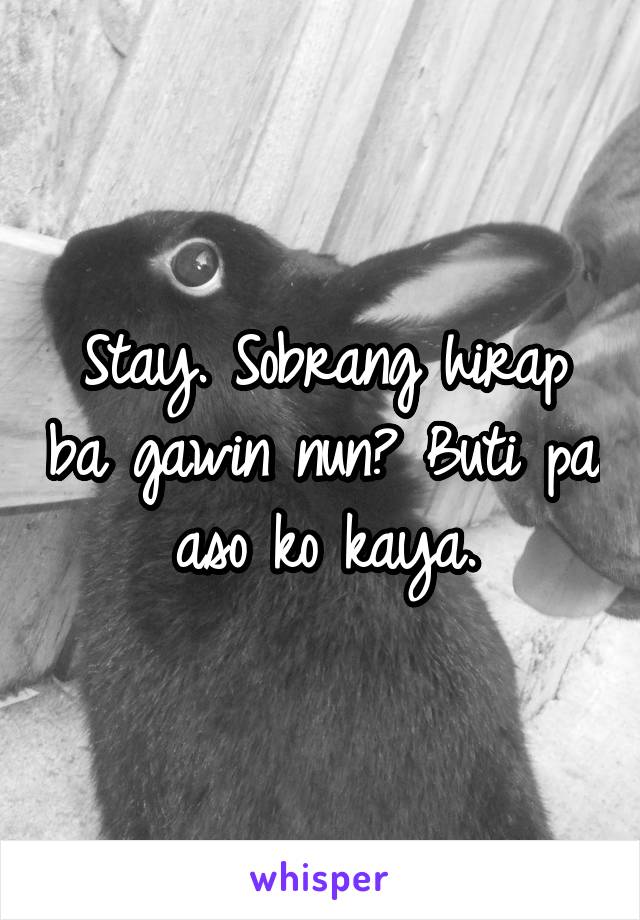 Stay. Sobrang hirap ba gawin nun? Buti pa aso ko kaya.