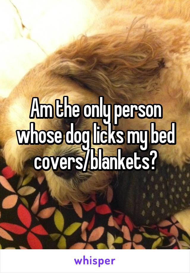 Am the only person whose dog licks my bed covers/blankets?