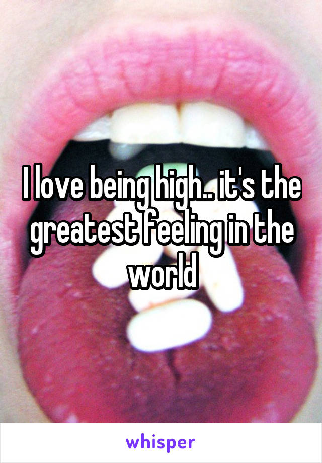 I love being high.. it's the greatest feeling in the world