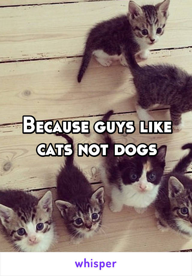 Because guys like cats not dogs