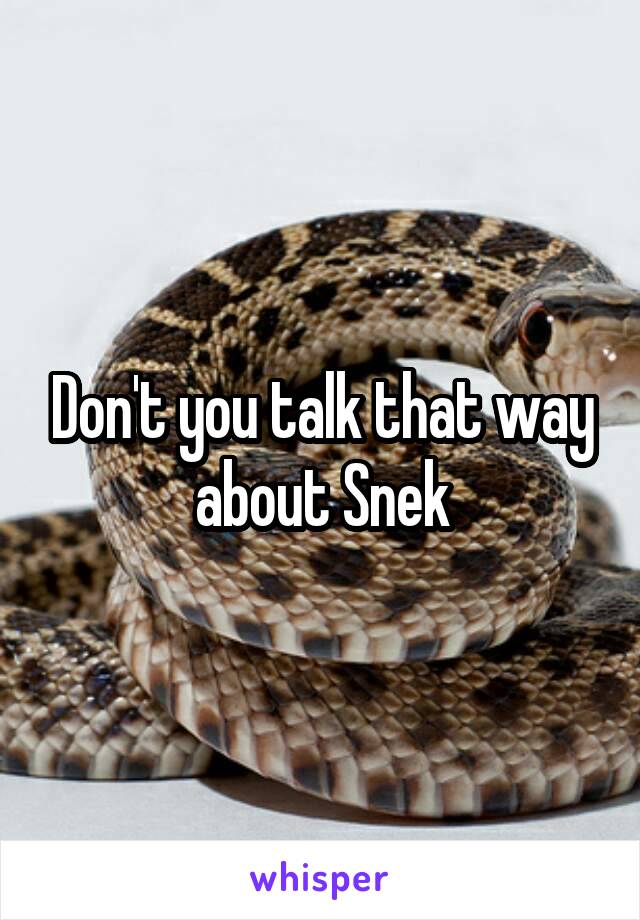 Don't you talk that way about Snek