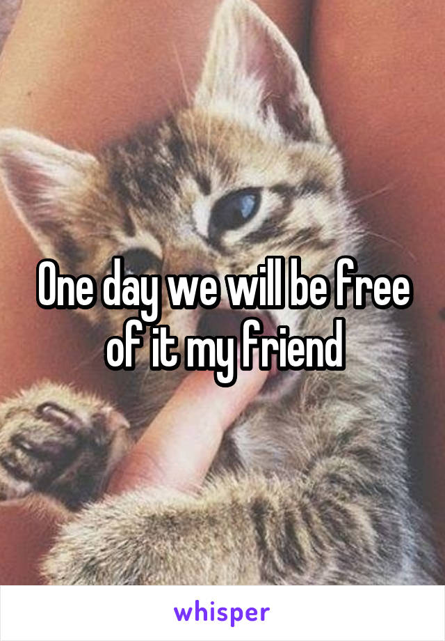 One day we will be free of it my friend