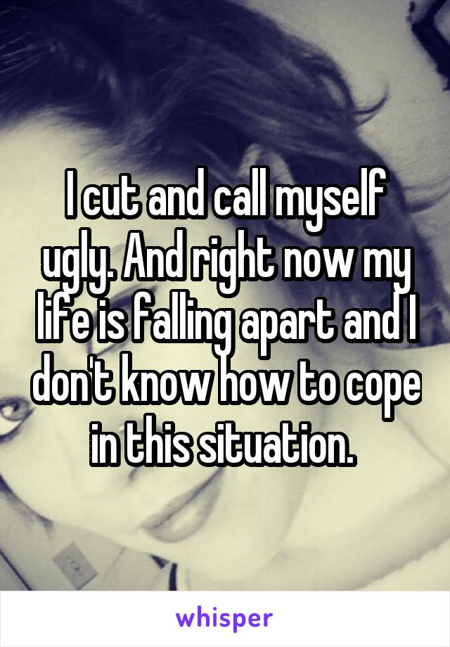 I cut and call myself ugly. And right now my life is falling apart and I don't know how to cope in this situation. 