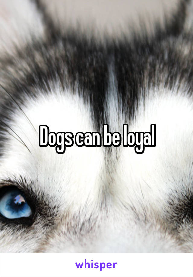 Dogs can be loyal