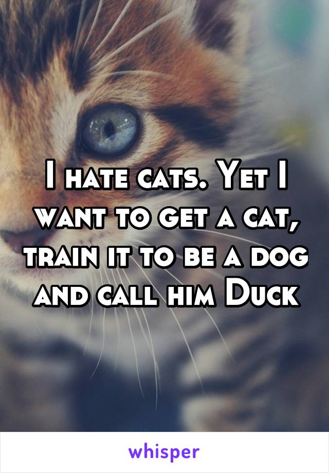 I hate cats. Yet I want to get a cat, train it to be a dog and call him Duck