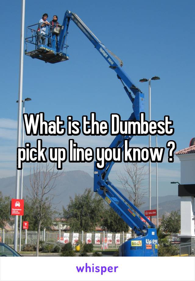 What is the Dumbest pick up line you know ? 