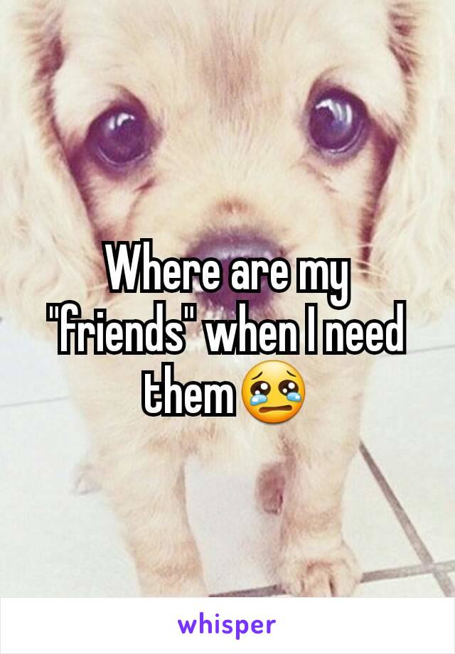 Where are my "friends" when I need them😢