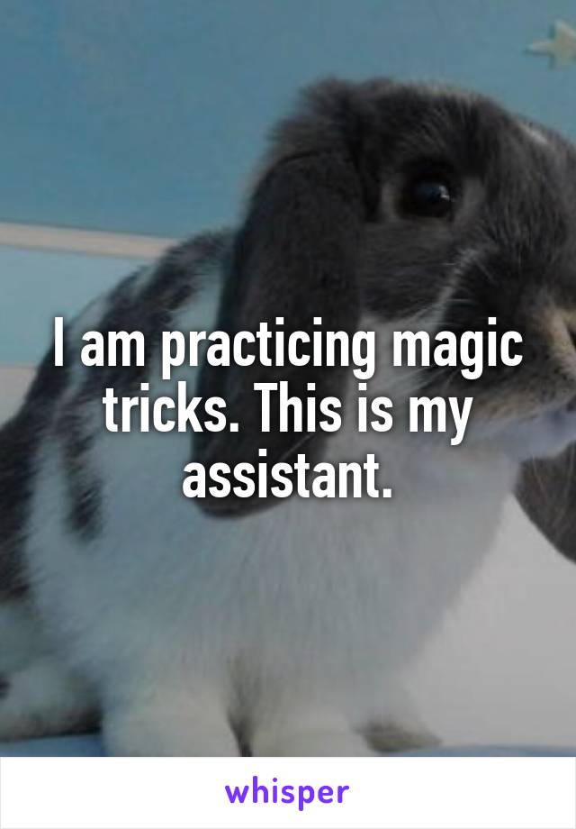 I am practicing magic tricks. This is my assistant.