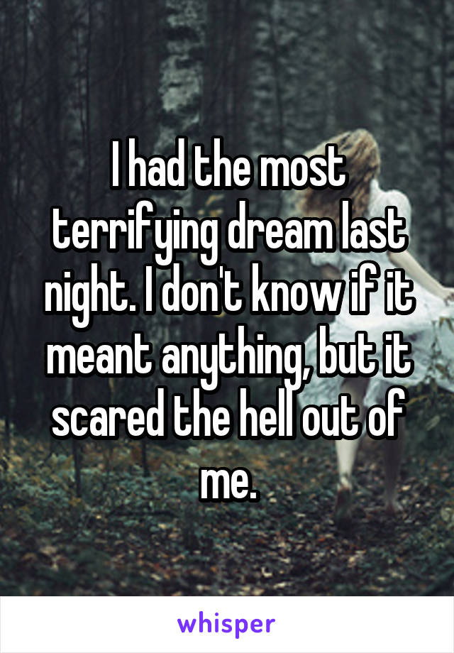 I had the most terrifying dream last night. I don't know if it meant anything, but it scared the hell out of me.