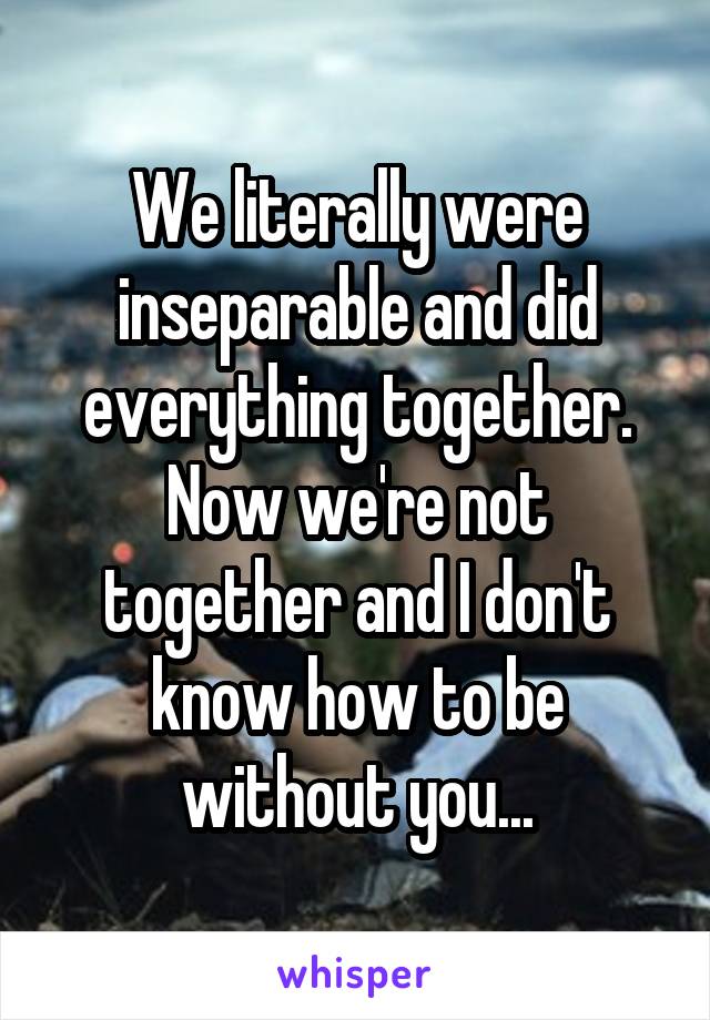 We literally were inseparable and did everything together. Now we're not together and I don't know how to be without you...